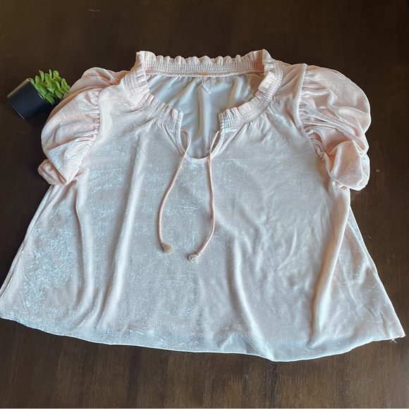 Free People Terese Pink Tint Velvet Top Size Medium - Picture 2 of 10